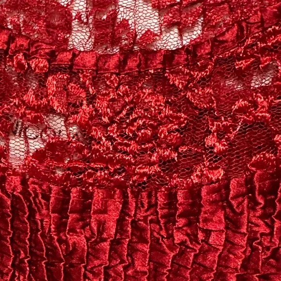 Nicola Red Embroidered Lace Neck‎ Stretchy Smocked Top Blouse Short Sleeve NWT L - Picture 4 of 5